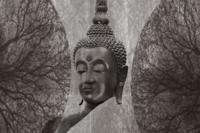 ֧ ֧٧ҧ  ܧѧާߧ ѧ էէ